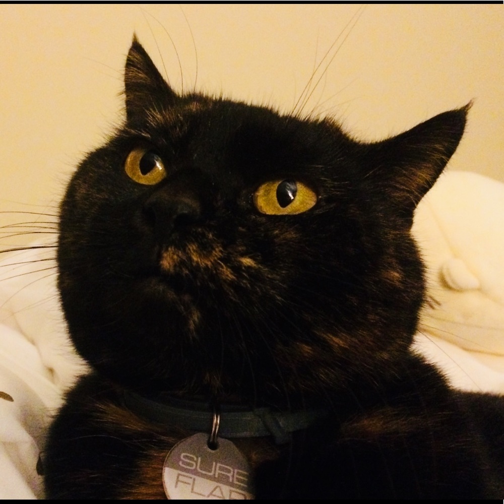 Meet your Posher, Eva